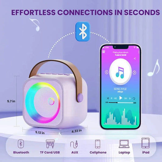 Bluetooth Speaker System with 1 Wireless Mic